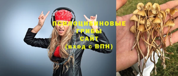 герыч Вязьма