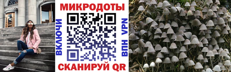 Псилоцибиновые грибы Cubensis  Зерноград 