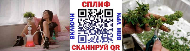 Бошки марихуана семена  как найти наркотики  Зерноград 